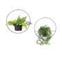 Aberto Design Jardinera de Metal Negra